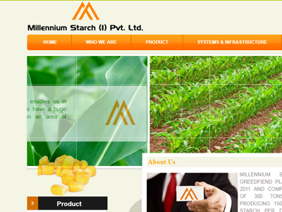 MILLENNIUM STARCH INDIA PVT LTD